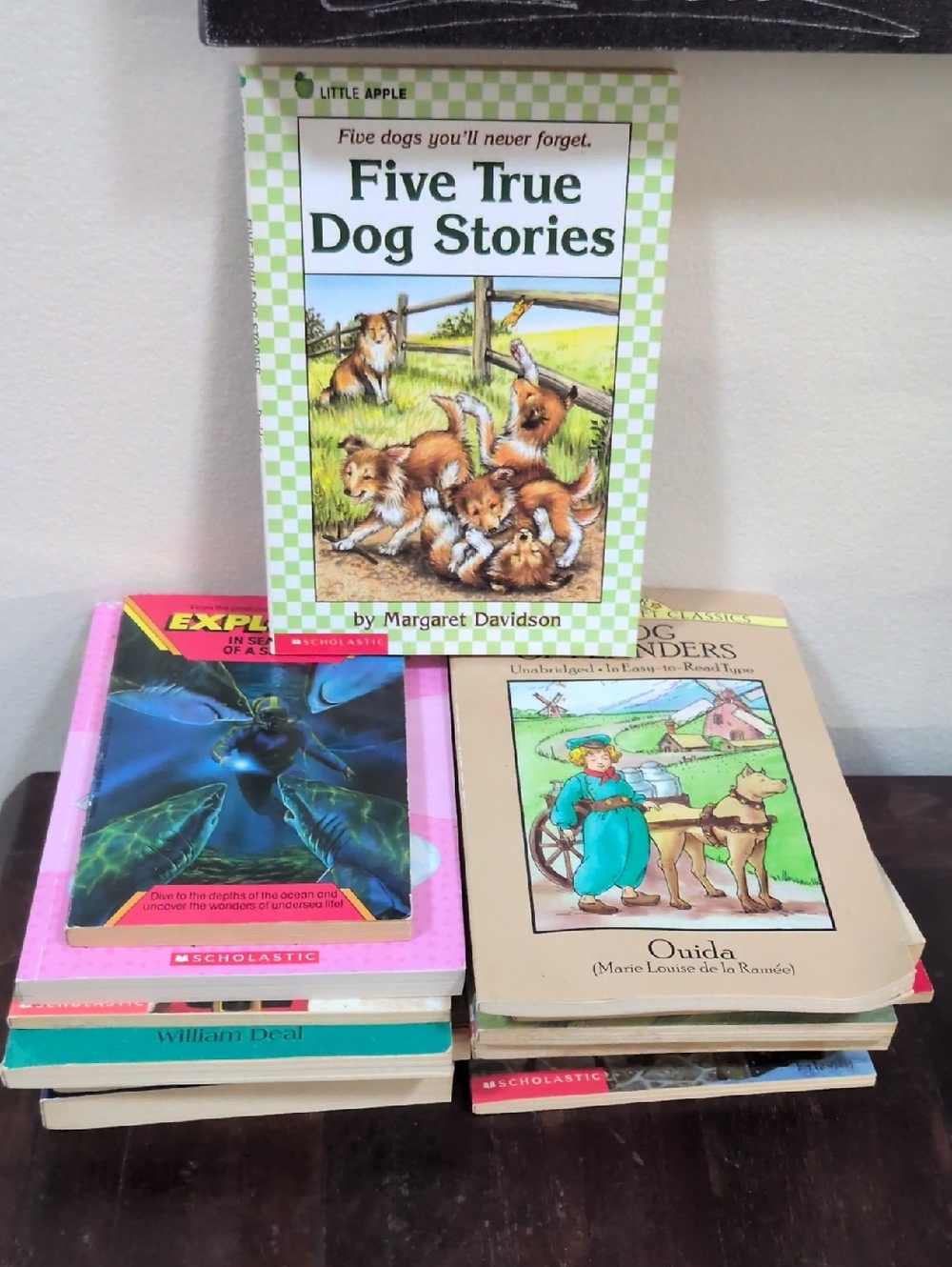 Scholastic Vintage Children's Paperback Fiction Chapter Books Lot of 14